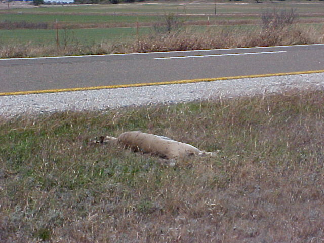 618x457 pixels (73K)