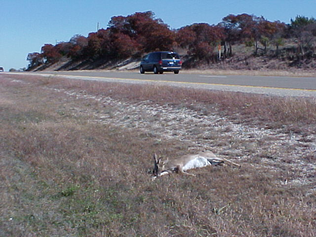 618x457 pixels (76K)