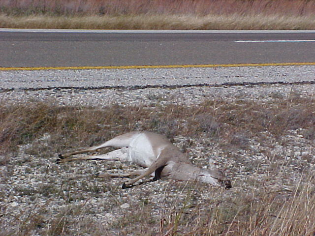 618x457 pixels (88K)