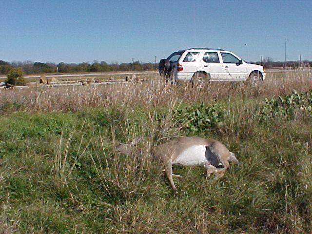 618x457 pixels (78K)